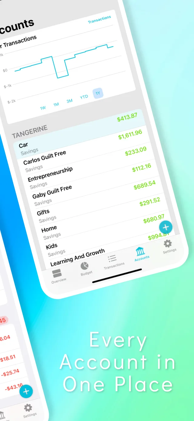 Every account in one place, with balances tracked over the year.